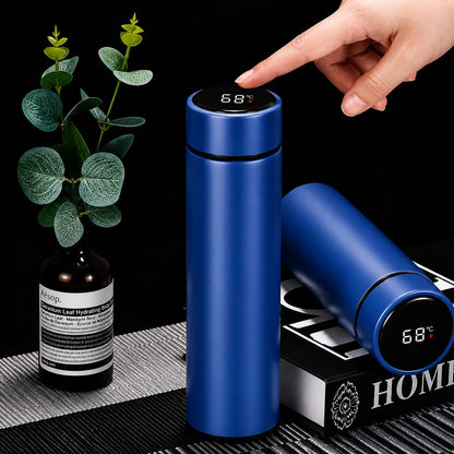 Bundle of two pink and blue stainless steel bottles
